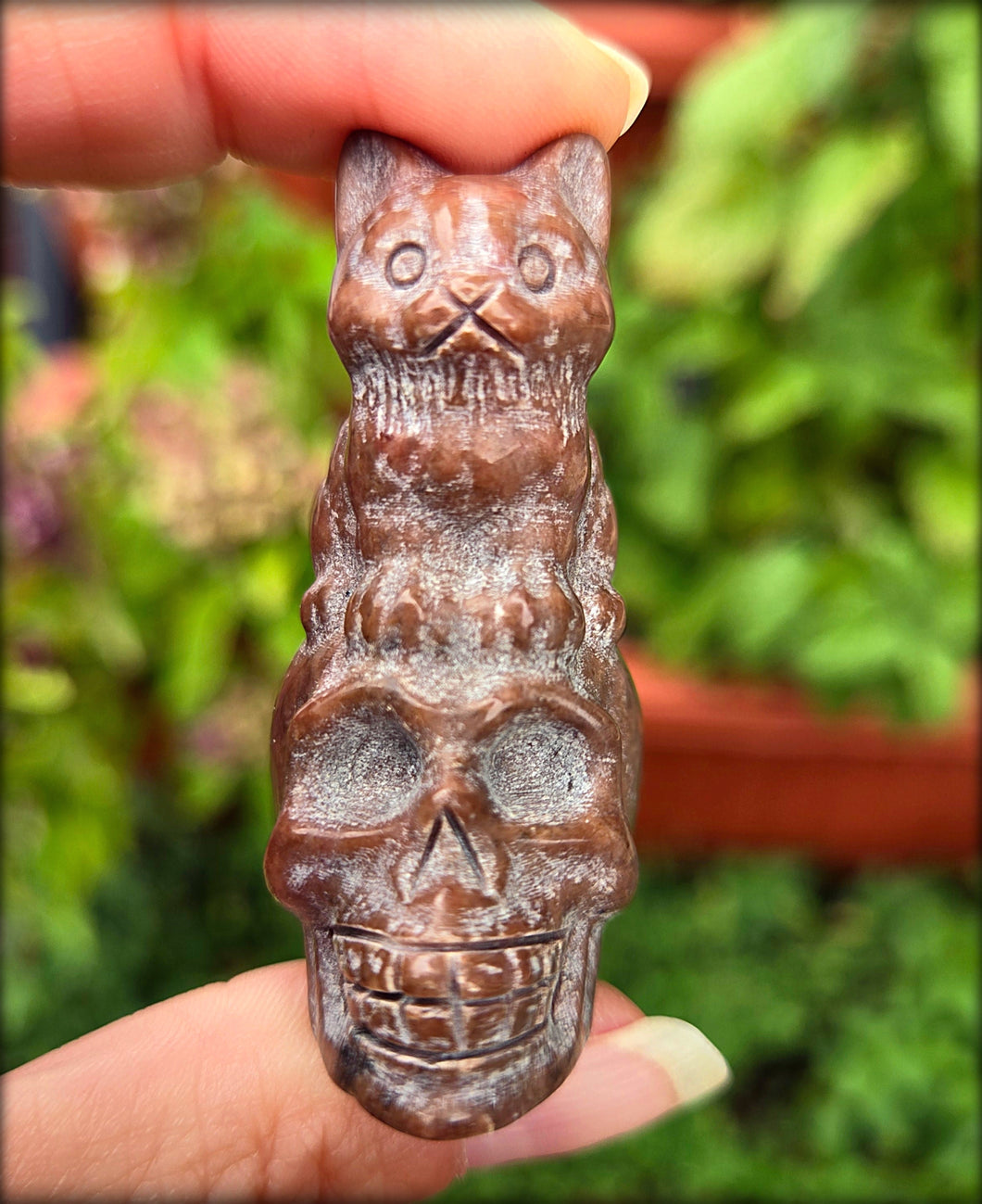 Chocolate Jasper Cat on Skull