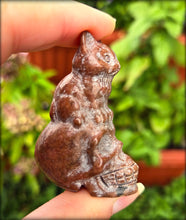 Load image into Gallery viewer, Chocolate Jasper Cat on Skull
