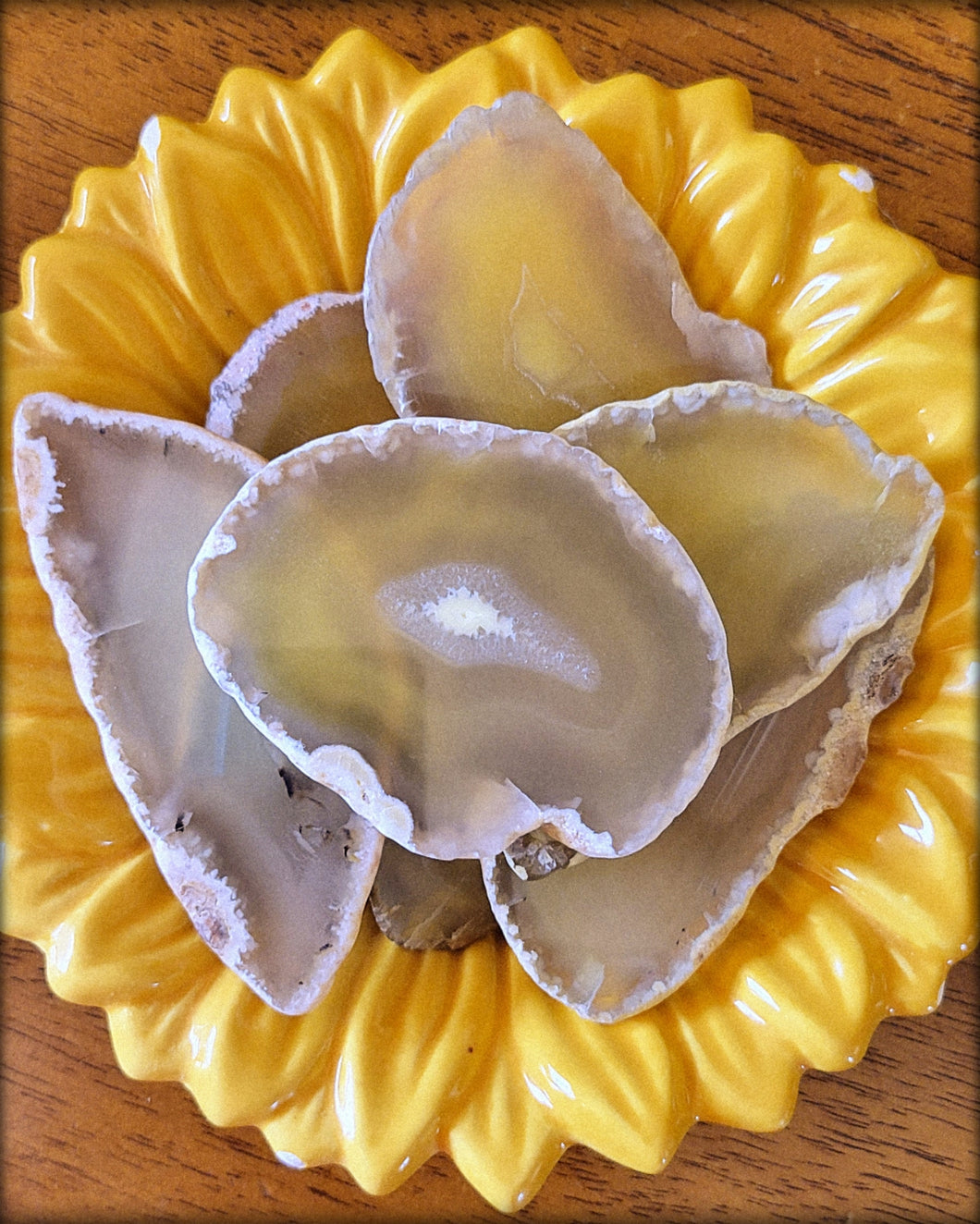 Yellow Agate Slices