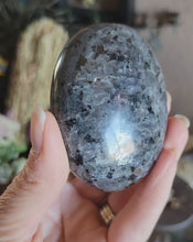 Load and play video in Gallery viewer, Larvakite Palm Stones
