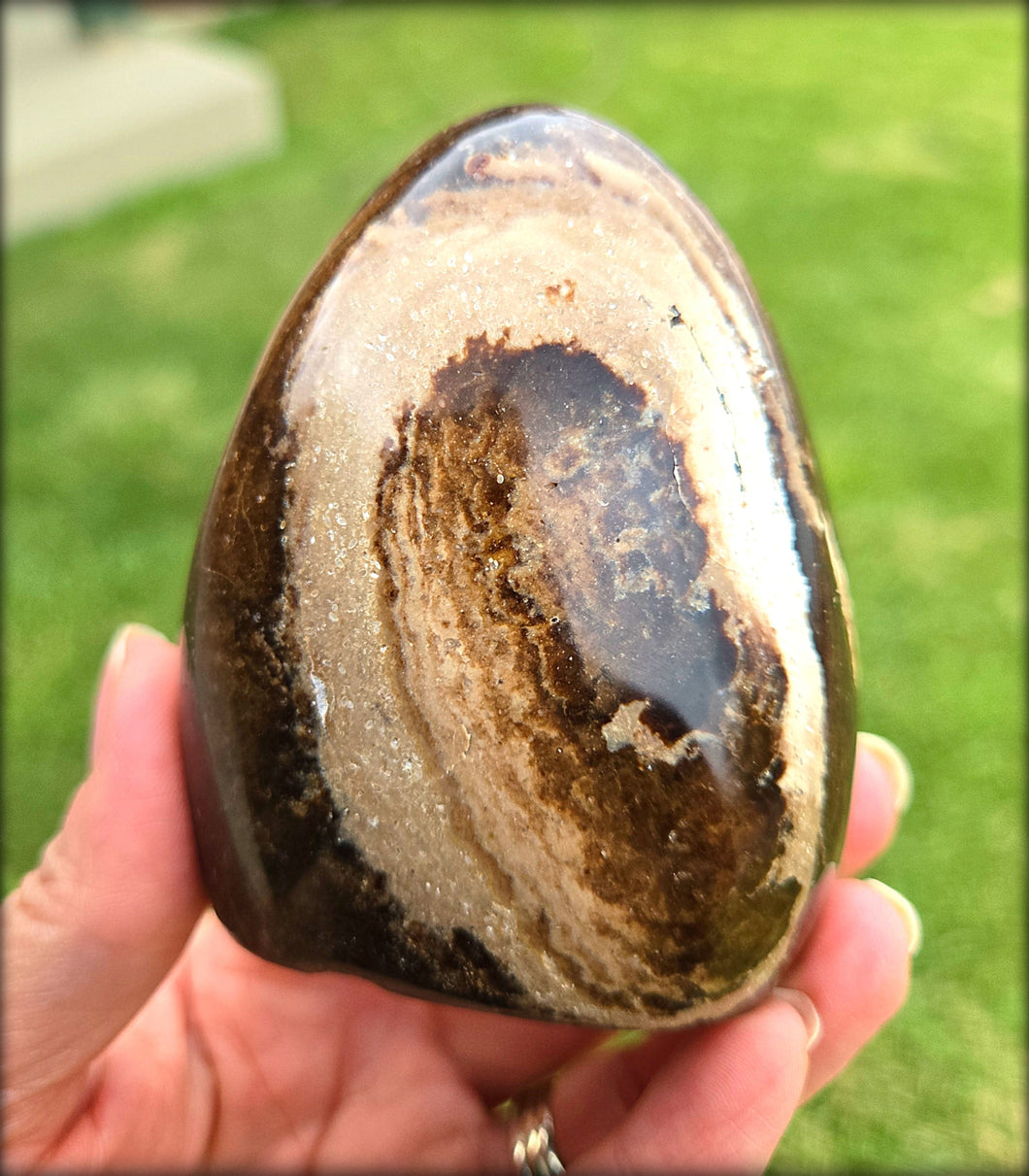 Black Opal Free Form